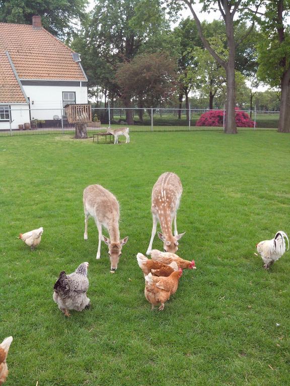 Bed En Breakfast Westerwolde Apartment Sellingen Exterior foto
